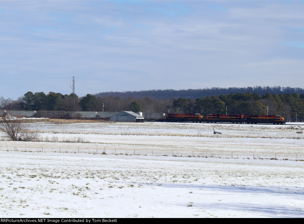 Snowy field